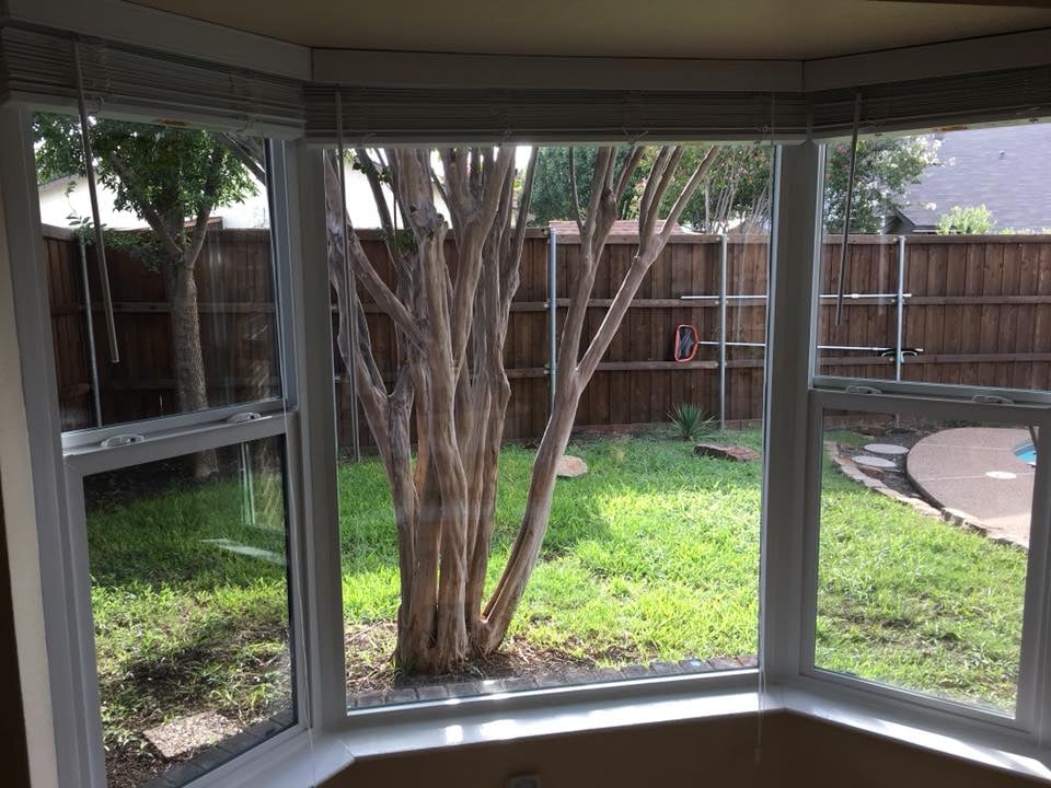 Worker installing a replacement window in a residential home
